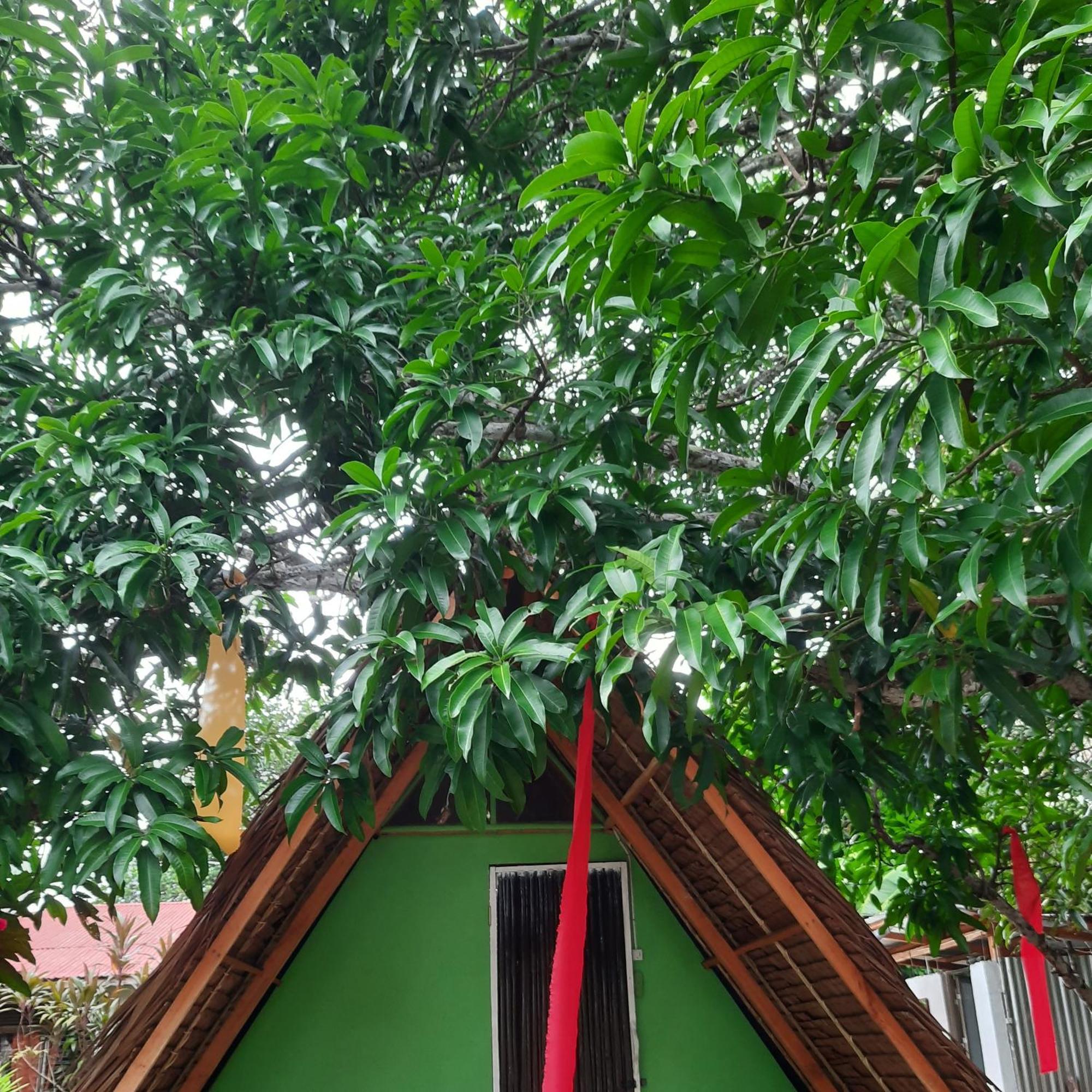 Lagkaw Uno In Lagkaw Homestay Панглао Екстериор снимка