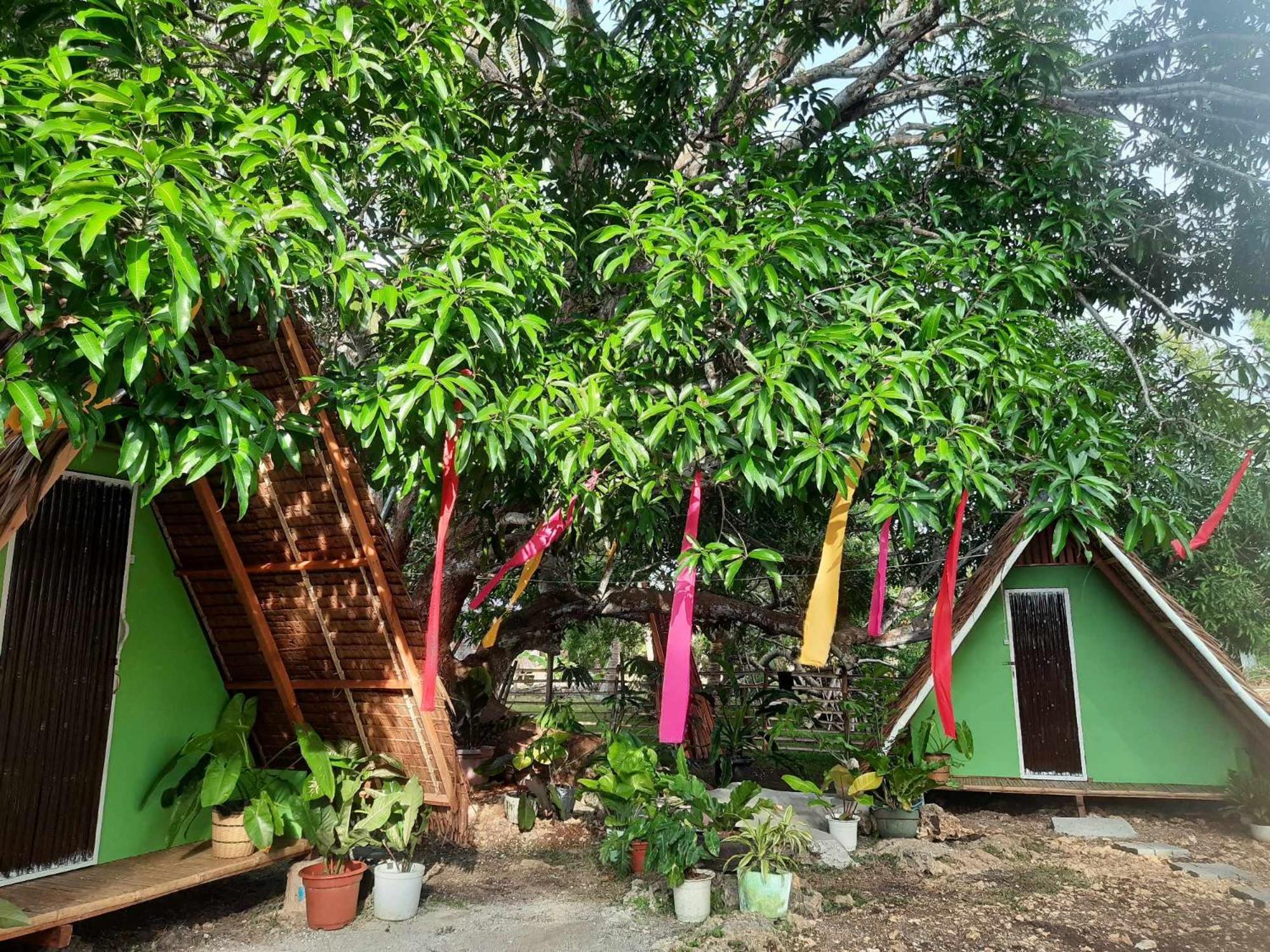 Lagkaw Uno In Lagkaw Homestay Панглао Екстериор снимка